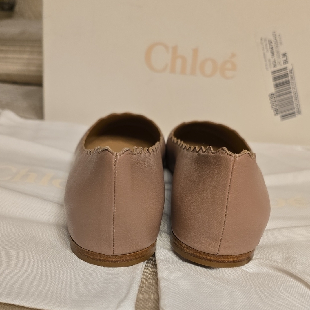 Chloe Pink Tea All Leather Scalloped Ballet Flats - Picture 4 of 15